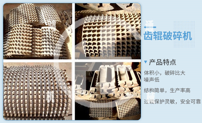 齿辊破内部结构.jpg
