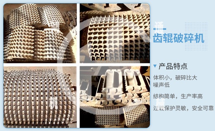 齿辊破内部结构.jpg